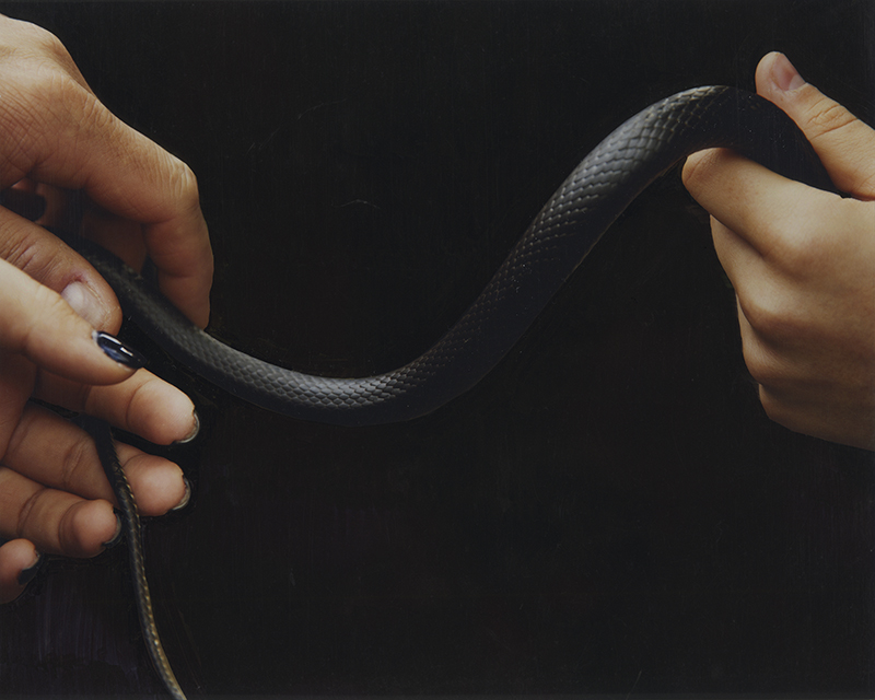 des mains tenant un serpent